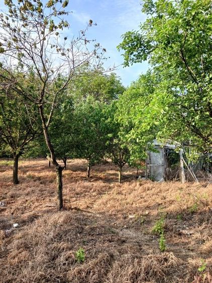 Casă cu 3 camere cu Teren 1942 Mp în Central