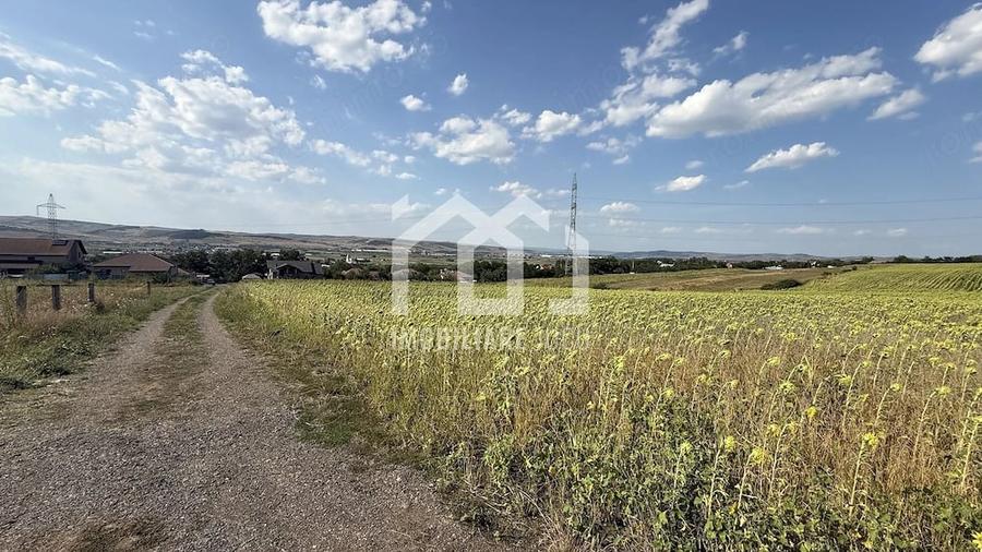 Teren de 11600 mp, în Jucu