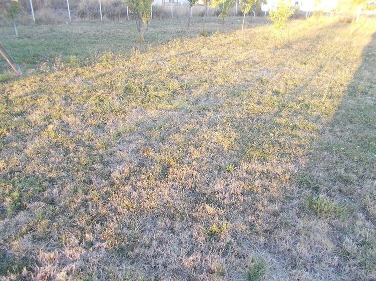 Casă cu 2 camere cu Teren 235 Mp în Plopi