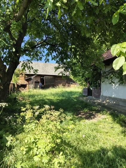 Casă cu 2 camere în Zagon