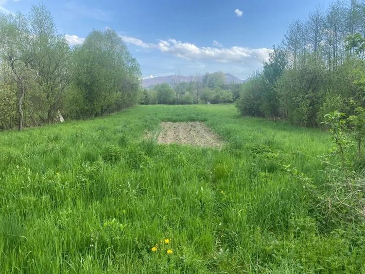 Casă cu 5 camere în Livadia