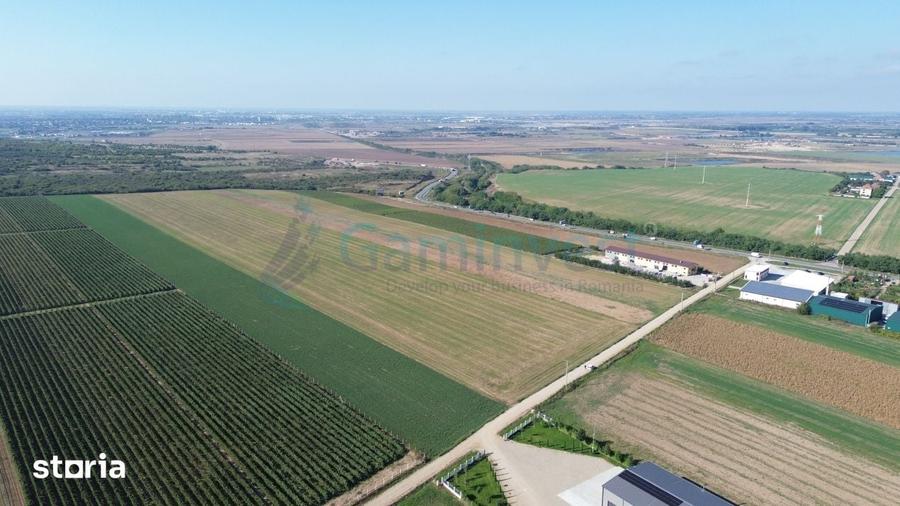 Teren de 10000 mp, în Biharia