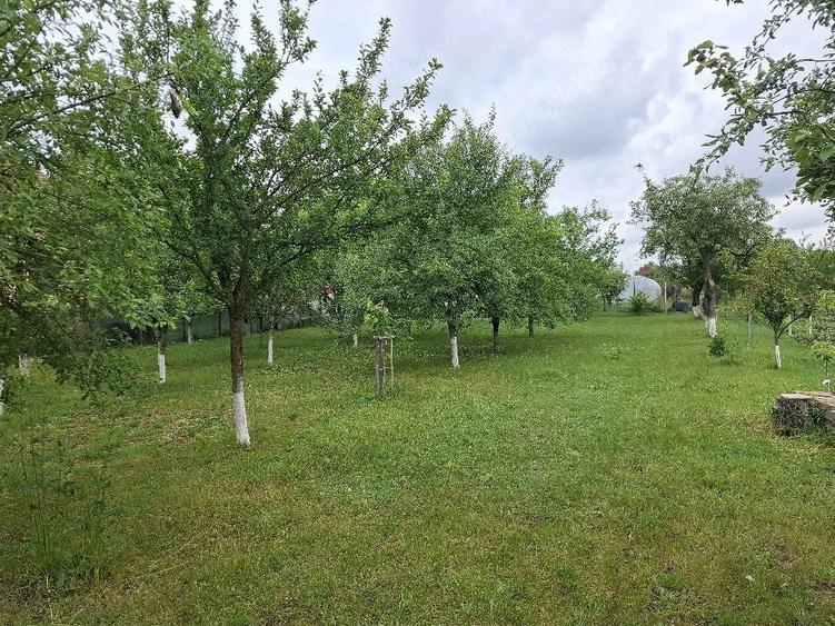 Teren de 1690 mp, în Central