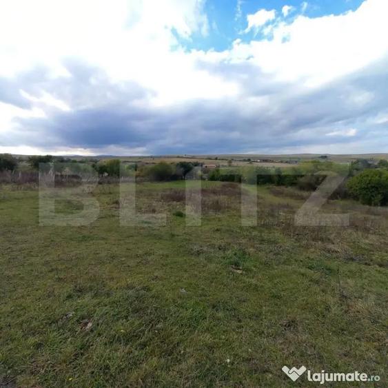 Teren de 15000 mp, în Ciurila