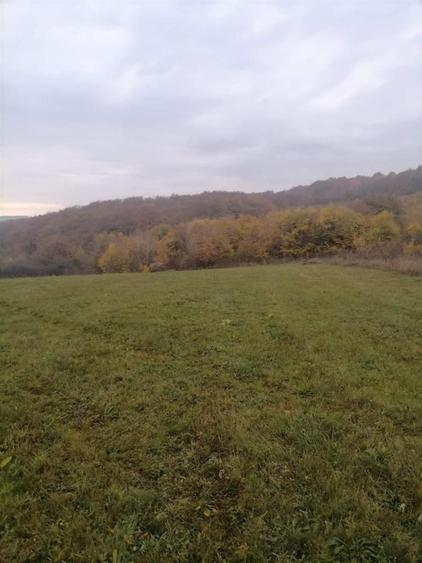 Teren Construcții intravilan de 2900 mp, în Corușu