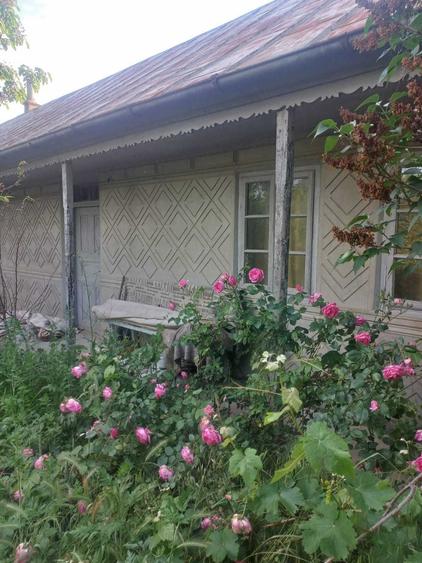 Casa de vanzare in Jurilovca - 3