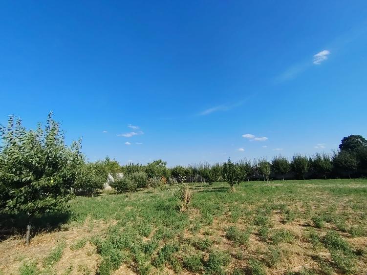 Teren Construcții de 2500 mp, în Odobești