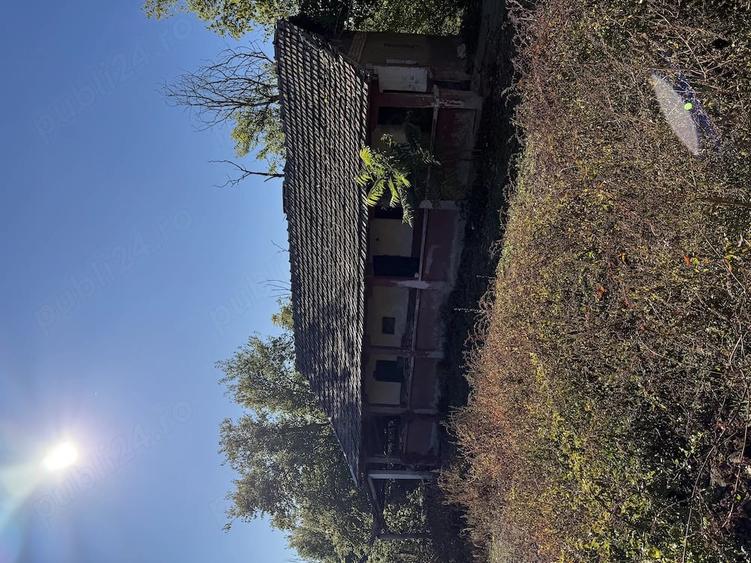 Casă cu Teren 1800 Mp în Giurgița