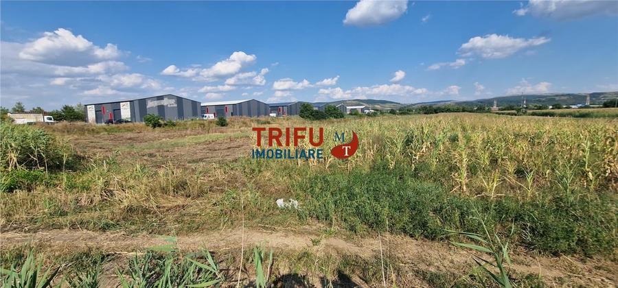 Teren Construcții intravilan de 5756 mp, în Ampoi 1