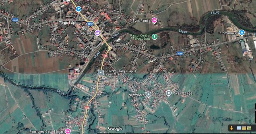 Casă individuală cu 4 camere cu Teren 3800 Mp în Târgu Lăpuș