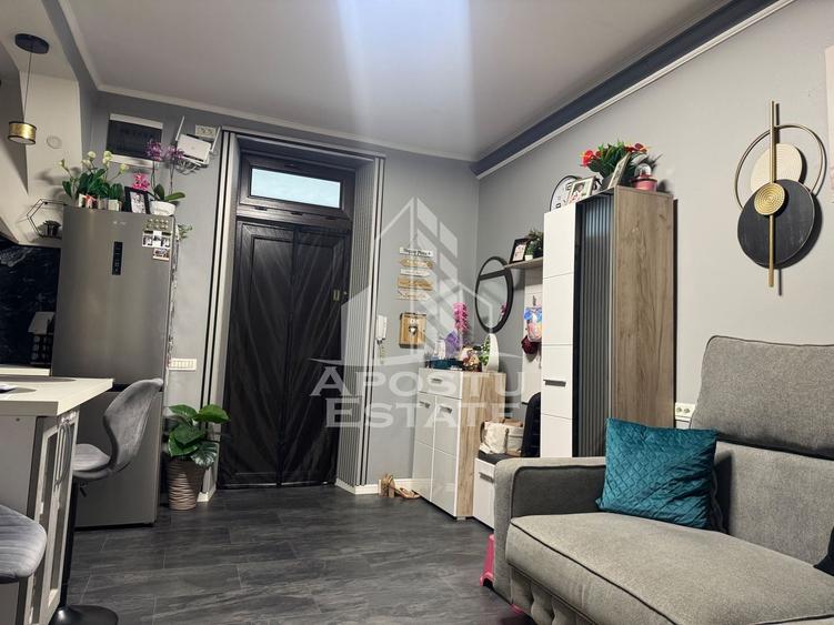 Apartament cu 2 camere nedecomandat, mobilat în Take Ionescu