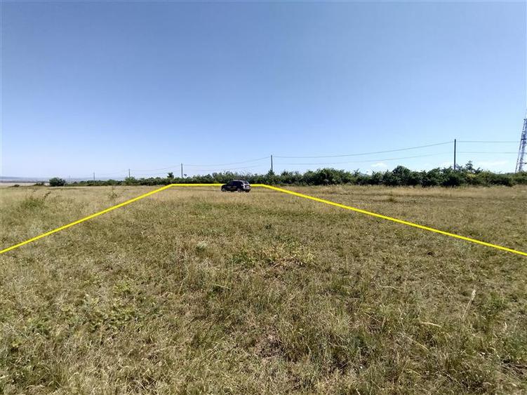 Teren agricol extravilan de 14500 mp, în Nicolinț