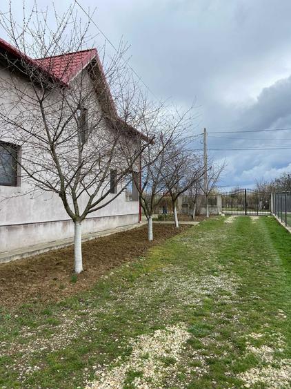 Casă cu 4 camere în Ulmi