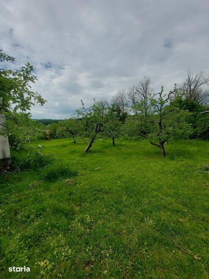 Vanzare casa si teren, sat Laicai - comuna Ceta?eni, jude?ul Arges - 10