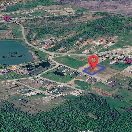 Teren de 750 mp, în Săldăbagiu de Munte