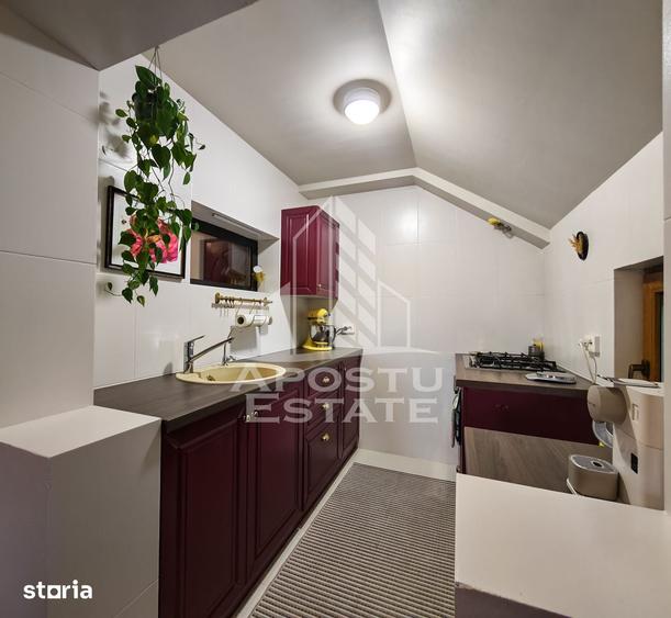 Vila cu 11 camere, renovata, de vanzare, zona Lipovei - 7