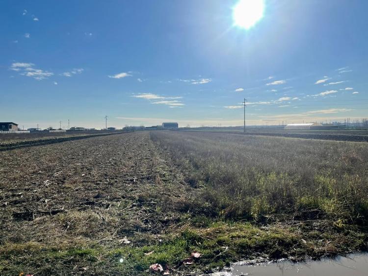 Teren agricol extravilan de 5000 mp, în Calea București