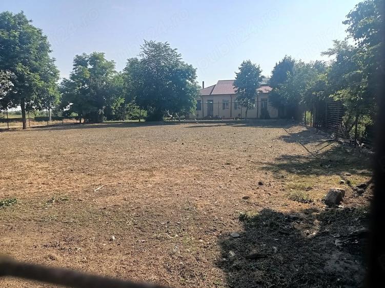 Teren de 1100 mp, în Ograda