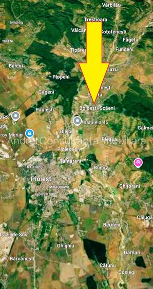 Vanzare 10000 mp padure stejar la Boldesti-Scaieni posibilitate parc distractii
