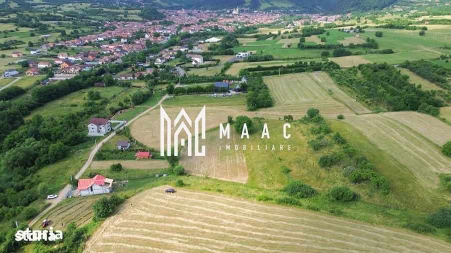Spațiu comercial, în Câineni