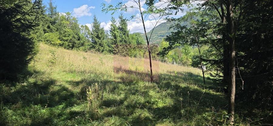 Teren Construcții intravilan de 1825 mp, în Valea Doftanei