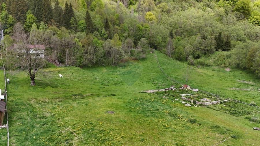 Teren Construcții intravilan de 10000 mp, în Sătic