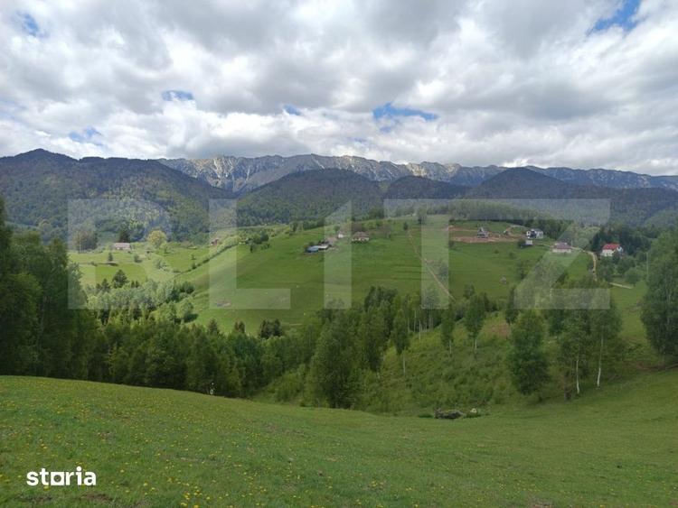 Teren de 4649 mp, în Peștera