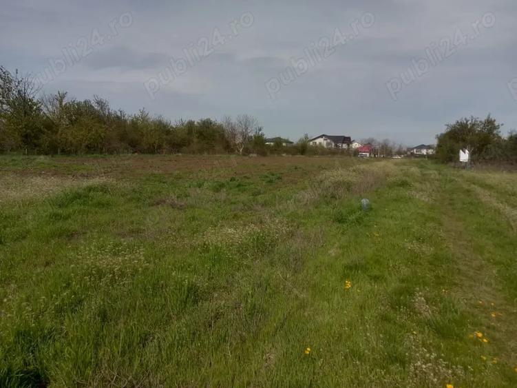 Teren de 5000 mp, în Afumați