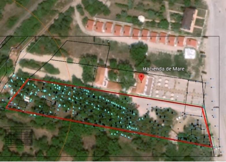 Teren Construcții intravilan de 5000 mp, în Est