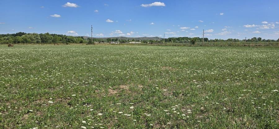 Teren Construcții intravilan de 23020 mp, în Răscruci