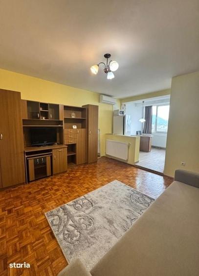 Apartament cu 2 camere în Valea Borcutului