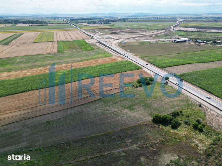Teren de 4947 mp, în Horia