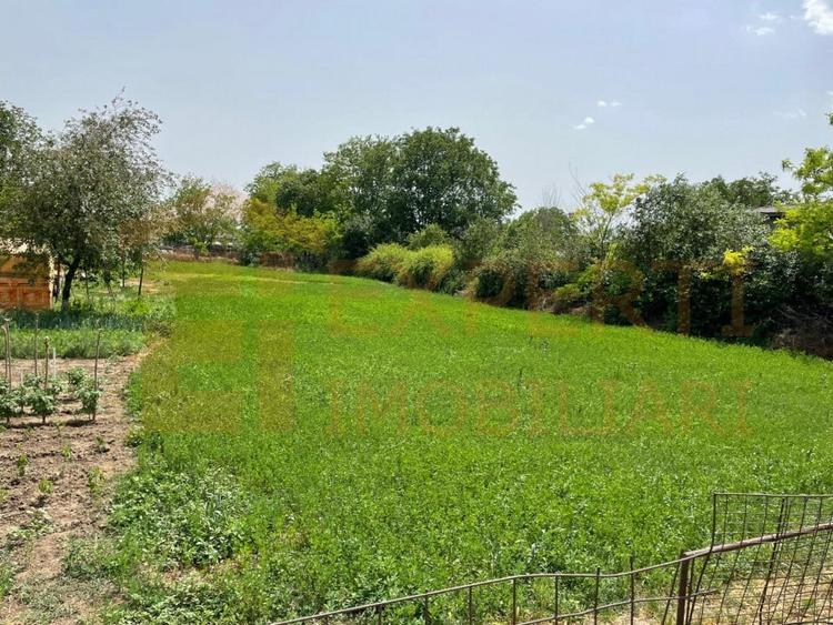 Teren Construcții intravilan de 2581 mp, în Mihail Kogălniceanu