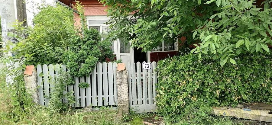 Casă cu 4 camere în Naipu