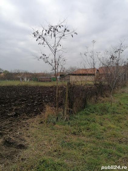 Vand loc de casa - 3