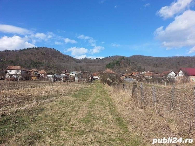 Teren de 9000 mp, în Copăcelu