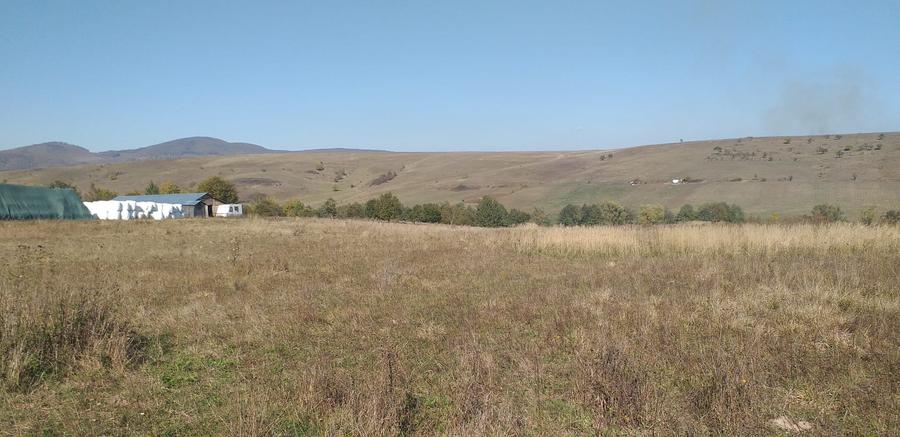 Teren agricol extravilan de 5000 mp, în Apața