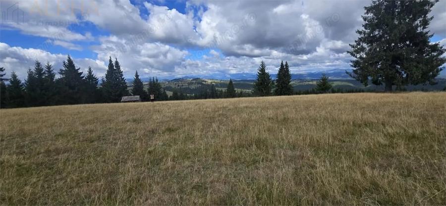 Teren de 27020 mp, în Piatra