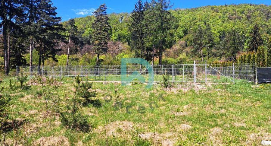 Teren Construcții intravilan de 800 mp, în Bunloc