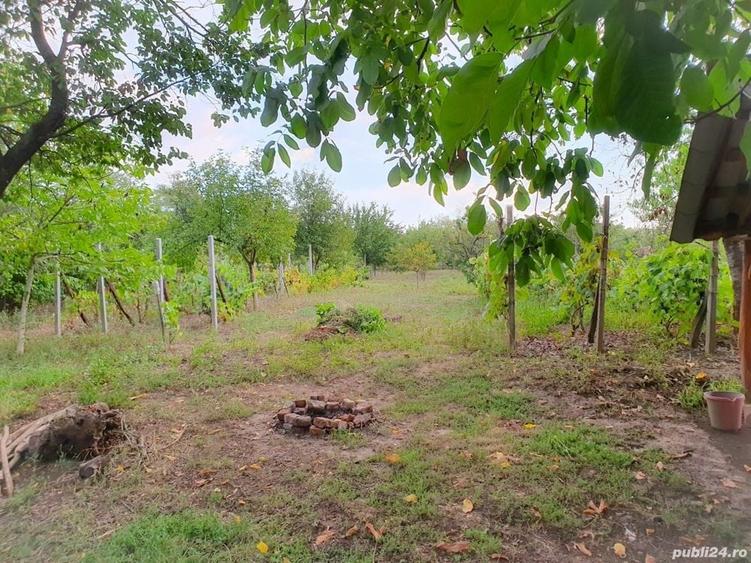 Teren de 3366 mp, în Uileacu de Munte