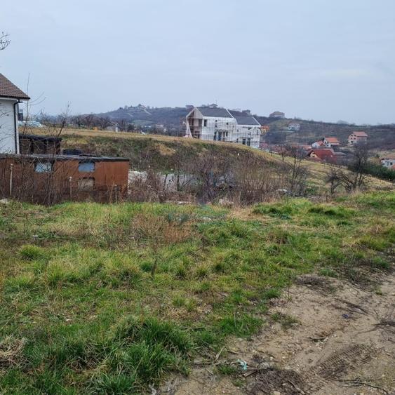 Teren Construcții intravilan de 3133 mp, în Cantemir
