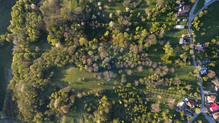 Teren de 15459 mp, în Bughea de Sus