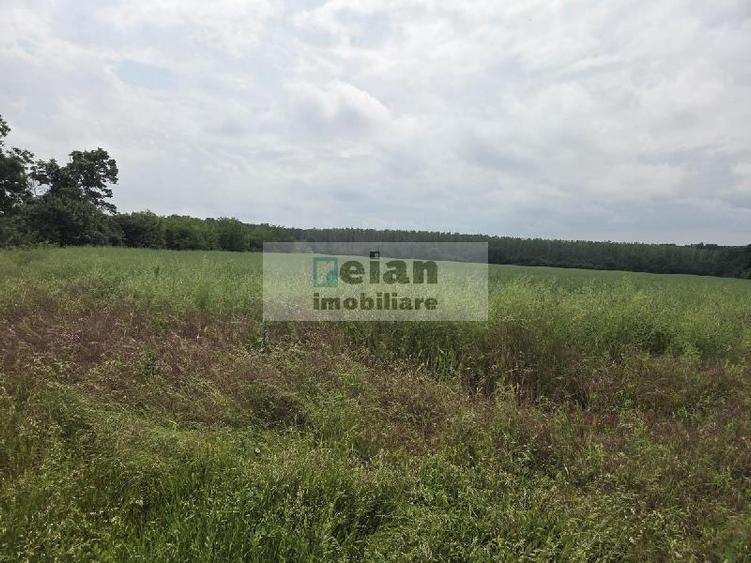 Teren Construcții intravilan de 892 mp, în Ciolpani
