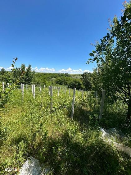 Casă cu 2 camere cu Teren 1200 Mp în Schitu Duca