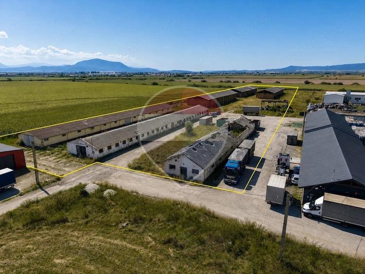 Teren de 17500 mp, în Hălchiu