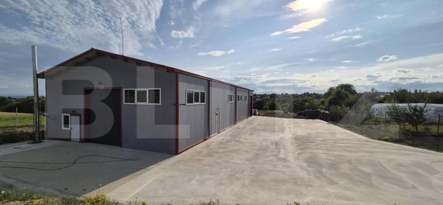 Hala depozitare/productie, 340 mp, Mitocasi - 7