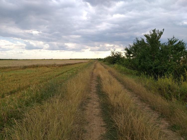 Teren agricol extravilan de 270000 mp, în Bâldana
