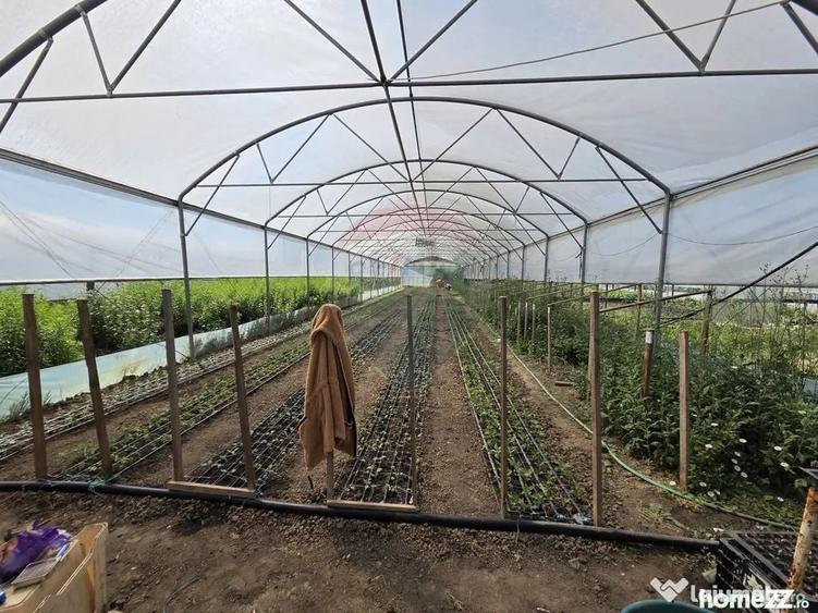 Casă cu 4 camere cu Teren 2229 Mp în Biliești