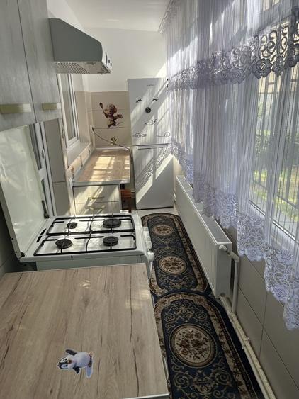 Apartament cu 2 camere decomandat în Palazu Mare