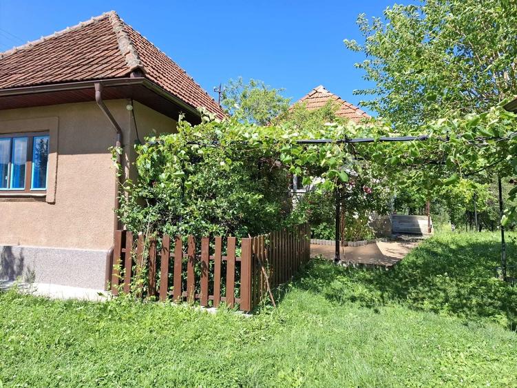 Casa + teren de vanzare in Brad, Hunedoara proprietar - 3